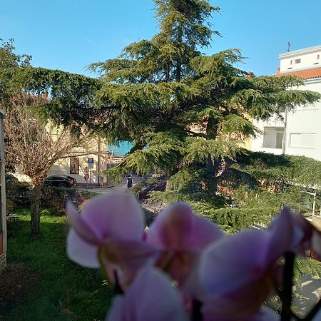 Apartment Luka Fažana Εξωτερικό φωτογραφία