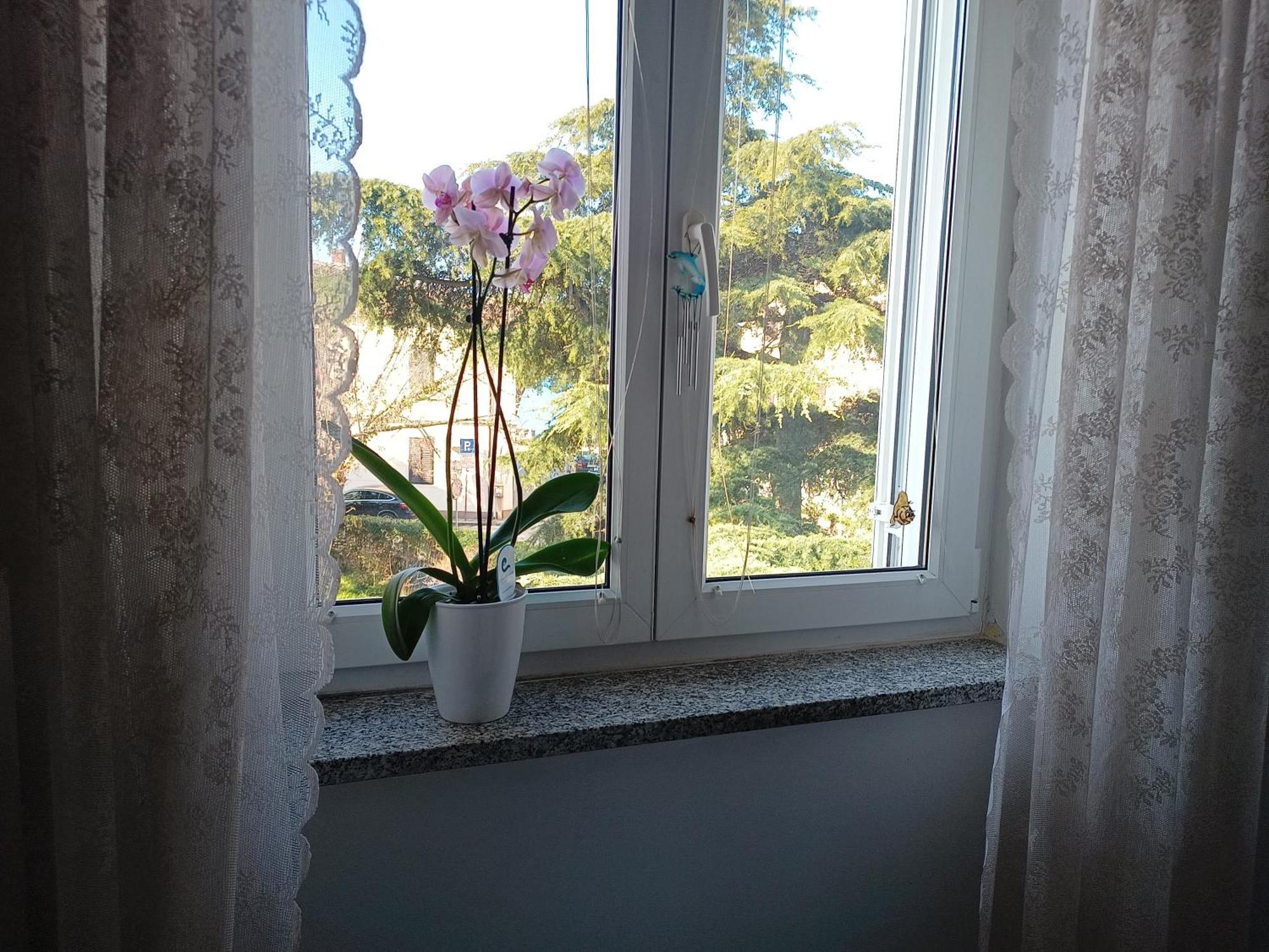 Apartment Luka Fažana Εξωτερικό φωτογραφία
