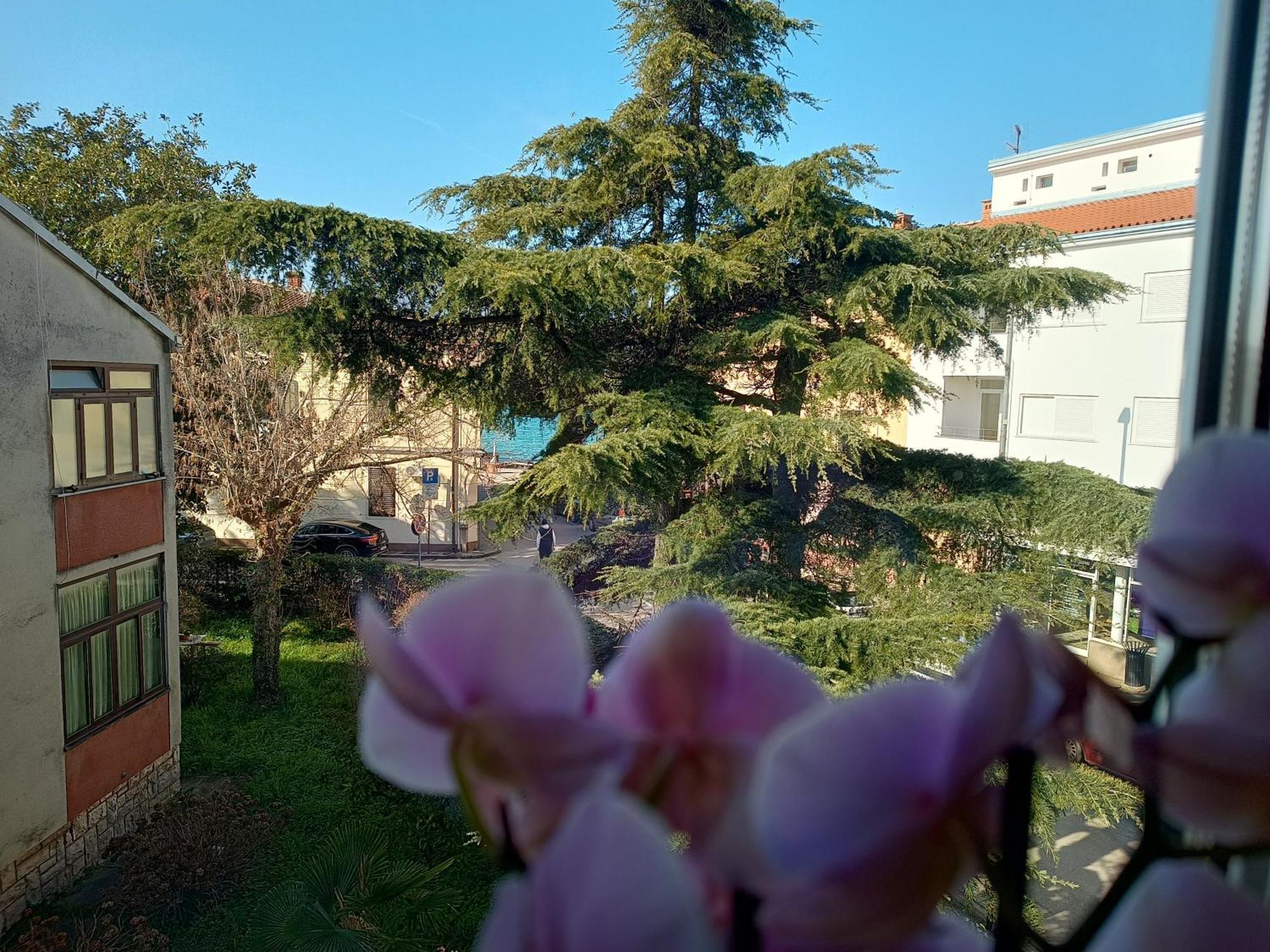 Apartment Luka Fažana Εξωτερικό φωτογραφία